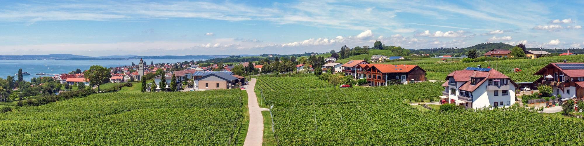 Bucherhof Hagnau über den Weinbergen