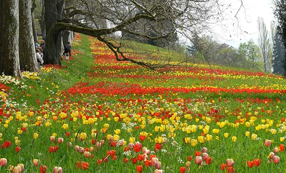 Ausflugsziele am Bodensee